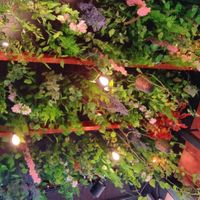  at Happy Food and Health  in Rotterdam