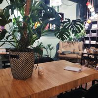 There is the love seat. And more cruelty free products and all the vegan organic pukka tea on the left wall. Delicious  at Happy Food and Health  in Rotterdam