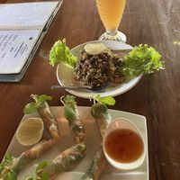 Spring rolls and tea leaf saladd  at The Moon - Old Bagan in Bagan