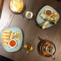 Spring and summer rolls at Chay Viet Tadilen Restaurant in Wurzburg