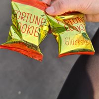 Free fortune cookies (with crappy "fortunes") 😅 at Chay Viet Tadilen Restaurant in Wurzburg