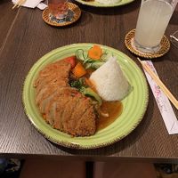 Vegan duck with soy sauce  at Chay Viet Tadilen Restaurant in Wurzburg