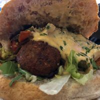 Falafel with hummus in fladen at Veggie Liebe in Freiburg