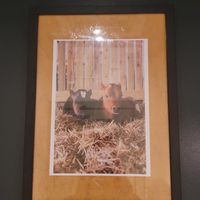 Proceeds go to Surge Sanctuary at Unity Diner in East London