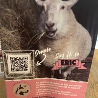 Love that proceeds help Fred and his friends   at Unity Diner in East London