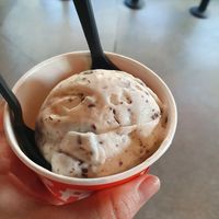 Vegan mint chocolate chip at Salt & Straw in Seattle
