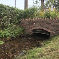 Lovely stream running alongside the cafe at The Foxy Bean in Taunton