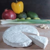 Vegan Brie at Cairo Healthy Food in Cairo