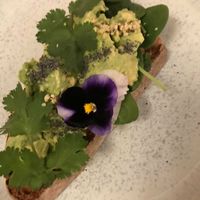 Avocado spinach toast at Floret in Florence