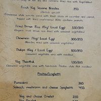 Menu (sadly not all vegan)  at Ananda Tree House in Kathmandu
