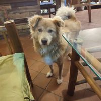  at Ananda Tree House in Kathmandu