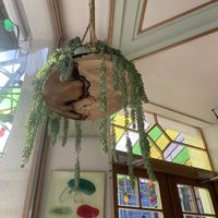   at Le Botaniste - Schuman in Brussels