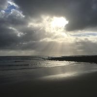 Spooky beach close by!  at Cafe Angourie in Angourie