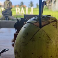 Fresh Coconut with view of rice fields at Pissari Bali Cafe in Ubud