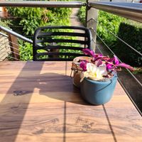 Gorgeous outdoor seating at The TreeHouse in Tamborine Mountain