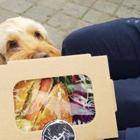 Gluten free option at Coffee & Drift in Lymington