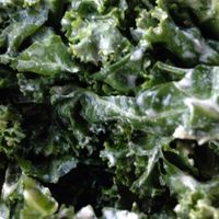 Raw kale side at Senbeb Cafe in Washington