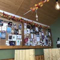   at Pyramid Vegan Cafe & Bakery in Glastonbury