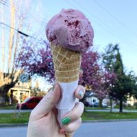 Strawberry milk (oatmilk based) my absolute favourite   at Rocky Point Ice Cream in Port Moody
