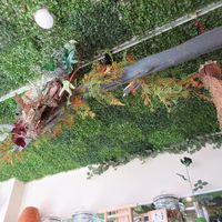 The ceiling is green! at Poe Poe in Yokohama