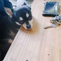 I'm hungry at Poe Poe in Yokohama