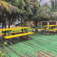 Love the tropical outdoor eating area! at Lion's Share Cafe in Bridgetown