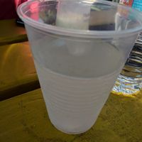 Coconut water at Lion's Share Cafe in Bridgetown