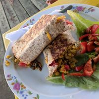Enchiladas at Lion's Share Cafe in Bridgetown