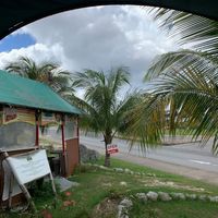 Lion's Share view at Lion's Share Cafe in Bridgetown