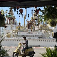 Views to the temple  #Veganuary at Kunda Vegan Vegetarian in Chiang Rai