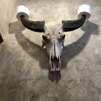   at Kunda Vegan Vegetarian in Chiang Rai