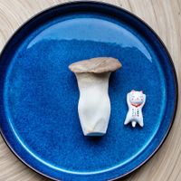 King Oyster Mushroom.  at Hot Pot Republic in Copenhagen