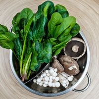 Pot of vegetables: spinach and mushrooms. at Hot Pot Republic in Copenhagen