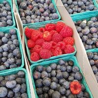 berries at Farmer's Market - Main St in Santa Monica