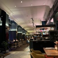   at Wilma Wunder in Dresden