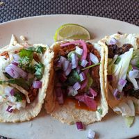 The first taco special at Charly's Vegan Tacos in Miami