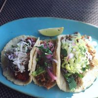 Tacos! at Charly's Vegan Tacos in Miami