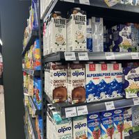   at Shopping Centre Kamelija in Kotor