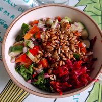 Small salad bowl at The Grove Veggie Kitchen in Limerick