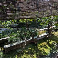 Garden view table at Hachinoki in Kamakura