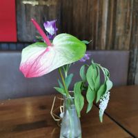  at Apple & Eve in Hamburg