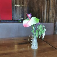  at Apple & Eve in Hamburg