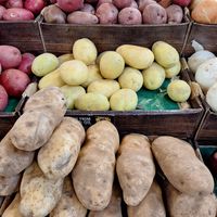  at Sprouts Farmers Market - Broad St in Philadelphia