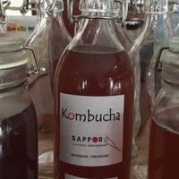 kombucha at Sapporo Japanese Restaurant in Kathmandu