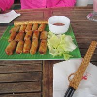 Spring Rolls at V Cafe in Da Lat