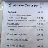 Mains - only 2 options were vegan-izable :/ at Dudu Mutfak in Kas