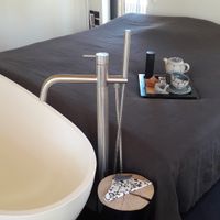 freestanding tub & waterbed at Ko Matsu Ya in Born Am Darss