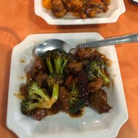 soy chicken nuggets w/ orange peel sauce and broccoli lunch special - comes with veggie spring roll and rice - 7/10 because it could’ve been zestier  at Happy Family - San Bernardino in San Bernardino