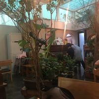 Inside, there is a piano and lots of (real? fake?) plants at Newyork B&C in Seoul
