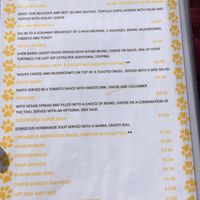 Vegan menu on back page of regular menu at K9 Plus 1 Cafe in Barry